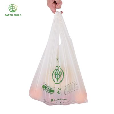 China EN13432 BPI Standard Size Handles Supermarket Biodegradable Plastic Shopping Bag for sale