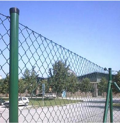 China Easily Assembled Factory High Quality Chain Link Fence Galvanized / PVC Coated Fence For Hot Sale for sale