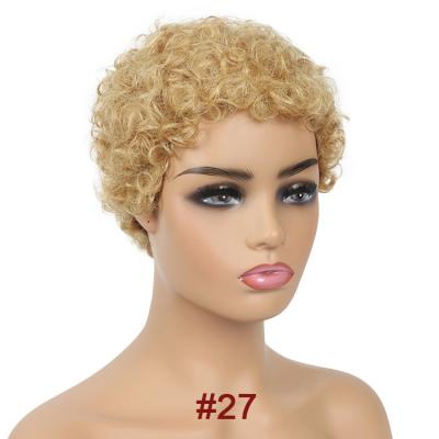 China New Arrival Afro Wig Soft And Tangle Free Short Curly Pixie Cut Human Hair Bob Wigs For Black Women for sale