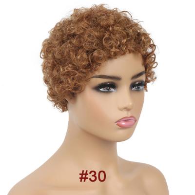 China New Arrival Glueless Afro Short Peruvian Pixie Cut Human Hair Curly Lace Front Bob Wigs Soft and Tangle Free for sale