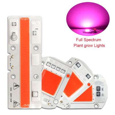 China Seed Seed Seeding COB LED Plant Grow Light Chip 20W 30W 50W Full Spectrum LED 110V 220V For Growing Seeding Plant Flower Blooming for sale