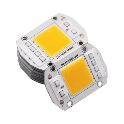 China Indoor Spotlight 20W 30W 50W Chip Lamp Decoration COB LED Warm Cool White for Park Hotel Floodlight Decoration for sale