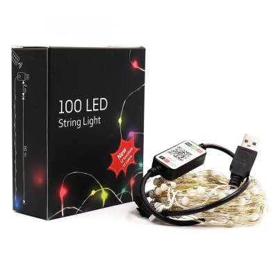 China Theme Park 10m Cooper Wire LED String Light Mobile App Control USB Powered Waterproof 5V RGB LED Colorful Magic Strip For Decoration for sale