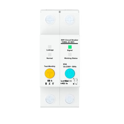 China Intelligent WIFI Circuit Breaker with 2Poles 63A for sale