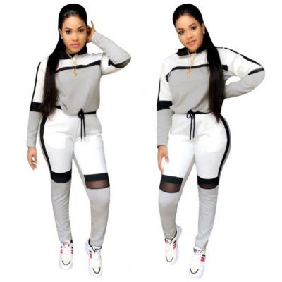 China 2020 Hot Selling Anti-wrinkle Sweater Hooded Pants Sports Autumn Set Clothing For Women Two Piece Set Tracksuit for sale