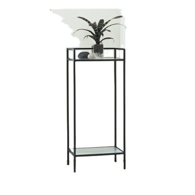 China Stylish modern indoor living room metal iron frame tempered glass top steel flower pot stand for sale