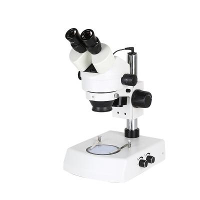 China Zoom Stereo Microscope Aspect Binocular Continuous Binocular Stereo Microscope Testing Stereo Microscope SGO-45B2 SGO-45B2 for sale