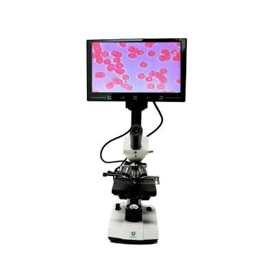 China 2023 New Arrival Biological Microscope The Microscope A Blood Test Microscope SGO-550 Drop for sale