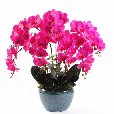 China Realistic 3D Vial Orchid Flowers Artificial Dendrobium Orchid Plants For Home Decor for sale