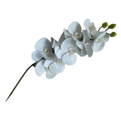 China Wedding decoration; 9 heads home decoration QSLH-W319 artificial orchid real touch latex butterfly orchid for wedding decoration for sale