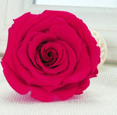 China valentines day; Wedding Decoration Wholesale High Quality Preserved Roses Preserved Roses As Gifts for sale