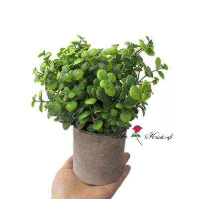 China Good quality QSLH - T173 wholesale Mini Potted Plants Artificial Plants with pot for decoration for sale