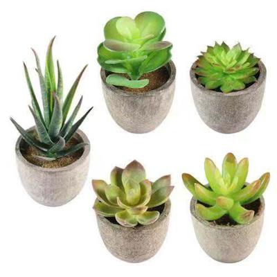 China Wedding M0232 - Hot Sale Artificial Potted Plant Plastic Succulent Plant With Gray Pot For Home Decoration for sale