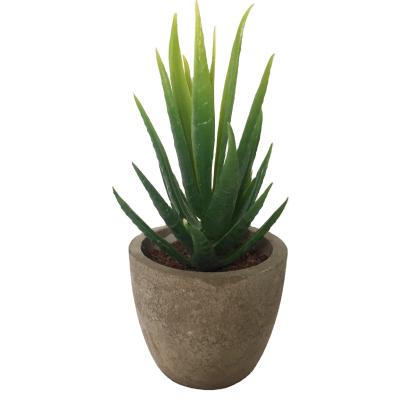 China Plaza QSLH A3308 Plastic Succulent Artificial Plants Potted Succulent For Mini Plant for sale