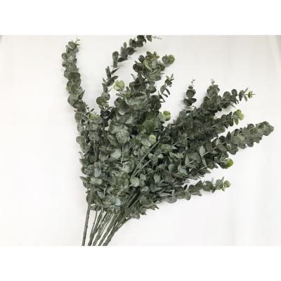 China Real Touch Latex Eucalyptus Plants 5 Branches Artificial Eucalyptus Plant For Artificial Eucalyptus Leaves for sale