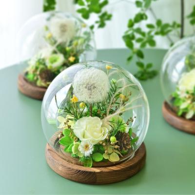 China Real Natural Immortal Everlasting Preserved Romantic Dandelion Rose Flower Glass Cover Wholesale Yunnan Everlasting Flowers Forever True for sale