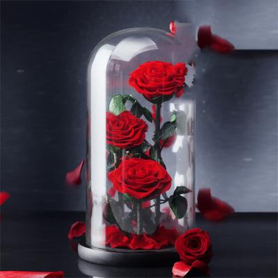 China Real Rose Active Everlasting Eternal Romantic Preserved Rose Flower Three Pieces Preserved Rose In A Glass Dome For Valentine's Day Gift for sale