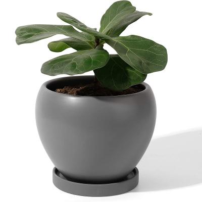 China Modern Home Decor Plant Pots Indoor Decorative With Drainage Hole And Saucer Medium Size Planter for sale