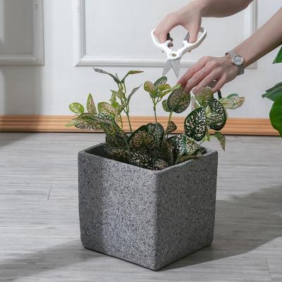 China Nordic Modern Marble Paint Planter Pots Indoor And Outdoor Decoration 5.9 Cement Flower Pots for sale