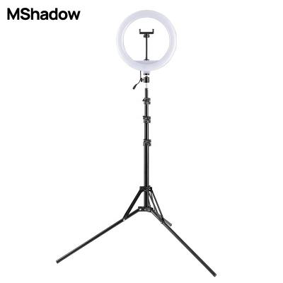 China ABS+PC 12 Inch LED Ring Light Kit for Selfie Live Photography Studio Light, Selfie Ring Light with Stand and YouTube/TikTok Video for sale