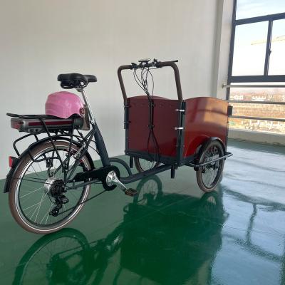 China Cheap Price Passenger Electric Bicycle Two Wheels Cargo Bike With Classic Search Sale for sale