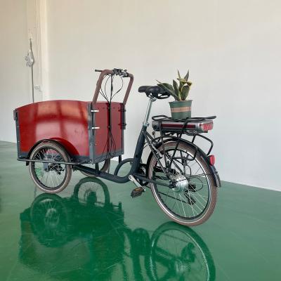 China Passenger cargo bike electric tuktuk cargo bike lcd show electric bakfiets electric tricycles for sale for sale