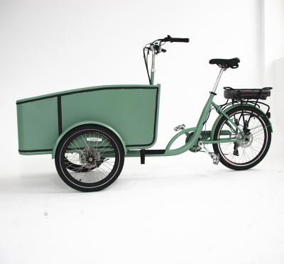 China Passenger 3 Wheels Cargo Bicycle ebike e electric motor electric cargo bike for sale