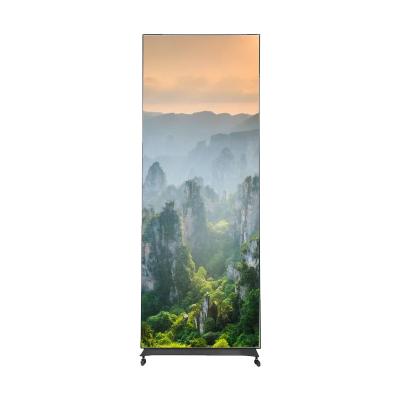 China New K2.5 Indoor Digital LED Mirror Posters Show Advertising Floor to Ceiling WIFI Controls LED Poster Screen for sale