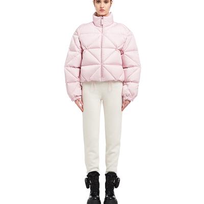 China New China style women's new style women's waterproof winter stripper jacket hot pink price down jacket for sale