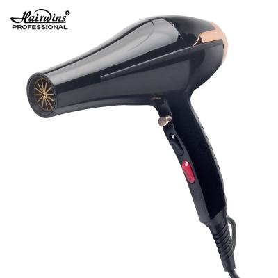 China Hotel Salon Portable Pet Dryer Dog and Human Motor Hair Dryer and Hair Straightener Travel for sale