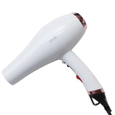 China 2021 Hairdresser Supplies Outdoor Wholesale Hair Dryer Italian Hair Dryer Manufacturers for sale