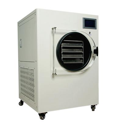 China High Efficiency Seafood Prawn Prawn Crayfish Krill Tuna Oyster Freeze Drying Machine Home Freeze Dryer for sale