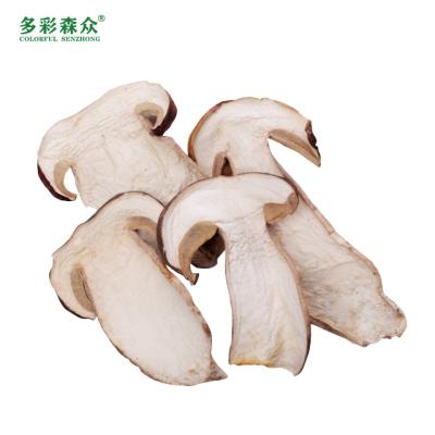 China Wholesale Price Yunnan Delicious Wild Mushroom Bulk Dried Boletus IQF Edulis Dry Frozen Boletus Sliced ​​Boletus Edulis for sale