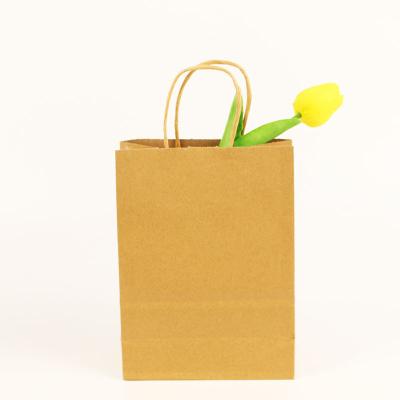 China Wholesale Customized Recyclable /Eco Friendly /Disposable/Durable/Reusable Wholesale Universal Recyclable Shopping Paper Bags With Handle for sale