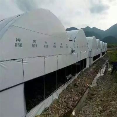 China PE Hydroponic Cultivation Mushrooms Greenhouse for sale