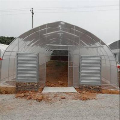 China PE farm poultry greenhouse equipment for sale for sale