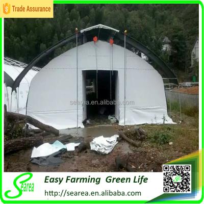 China PE Material Film Cover Greenhouses For Mushroom for sale