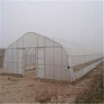 China 2015 EP New Technology Chicken Greenhouse for sale