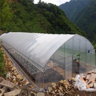 China PE mesh covered greenhouse for sale for sale