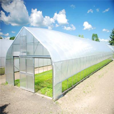 China 4-5meters no welding greenhouse construction for sale for sale