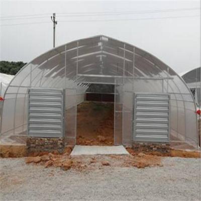 China Single PE Tunnel Greenhouse For Large Scale Growing for sale