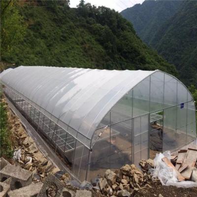 China Best Price Easily Assembled Commercial Modular Greenhouse for sale