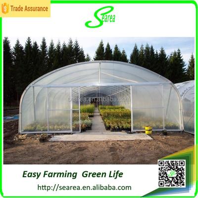 China Seeding / Agriculture / Commercial Green House Steel Frame Tunnel Greenhouse With Door for sale