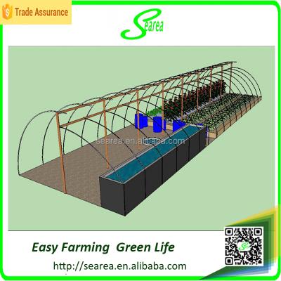 China PE Single Span Aquaponic Greenhouse for sale