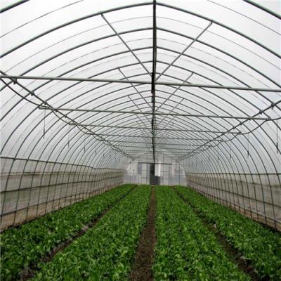 China Single Span PE Tunnel Agriculture Film Plastic Greenhouse For Sale for sale