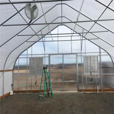 China Seeding/Agriculture/Commercial Greenhouse Sale Polycarbonate Greenhouse Shade Green House Design Hot Sale Greenhouse Kits for sale