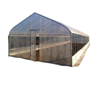 China Plastic PE Agricultural Greenhouses For Sale With Greenhouse Roll Up Kits for sale