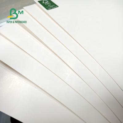 China Good Strength 250gsm 300gsm C1S Ivory Board Moisture Proof fFolding Ply In Roll for sale