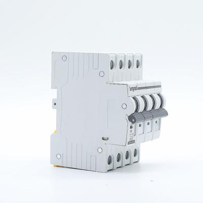 China Good Price Mcb 1p/2p/3p/4p 63a Ac Electric Single Circuit Breakers LR6-3-63 Pole for sale