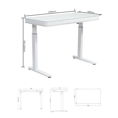 China Height Adjustable Sit Standing Desk With Single Electric Motor for sale